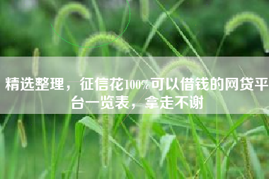 精选整理，征信花100%可以借钱的网贷平台一览表，拿走不谢