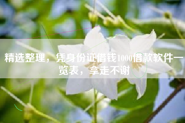 精选整理，凭身份证借钱1000借款软件一览表，拿走不谢