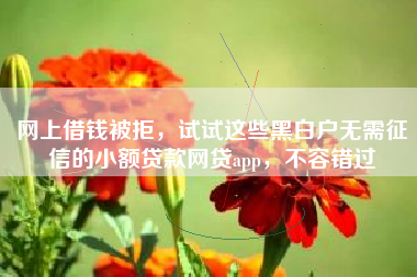 网上借钱被拒，试试这些黑白户无需征信的小额贷款网贷app，不容错过