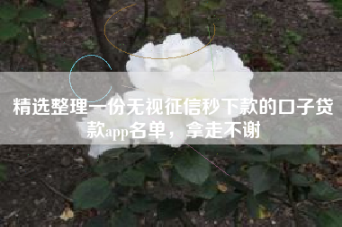 精选整理一份无视征信秒下款的口子贷款app名单，拿走不谢
