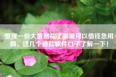 整理一份大数据花了哪里可以借钱急用啊，这几个借款软件口子了解一下！
