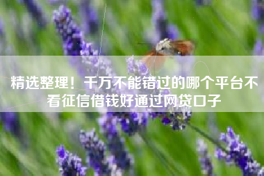 精选整理！千万不能错过的哪个平台不看征信借钱好通过网贷口子
