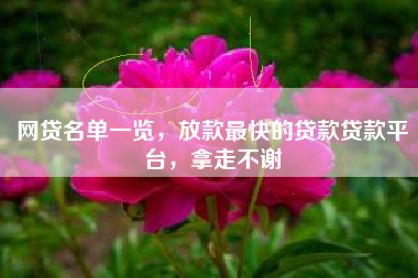 网贷名单一览，放款最快的贷款贷款平台，拿走不谢
