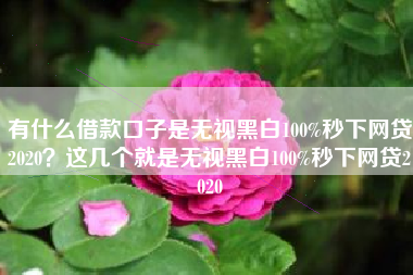 有什么借款口子是无视黑白100%秒下网贷2020？这几个就是无视黑白100%秒下网贷2020