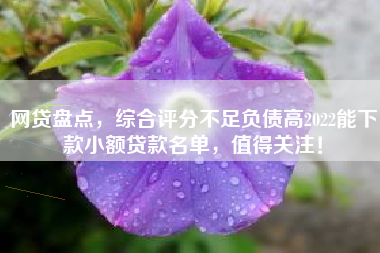 网贷盘点，综合评分不足负债高2022能下款小额贷款名单，值得关注！