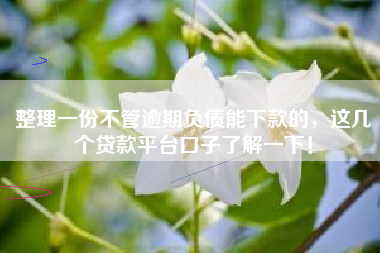 整理一份不管逾期负债能下款的，这几个贷款平台口子了解一下！