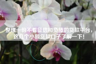 整理一份不看征信和负债的贷款平台，这几个小额贷款口子了解一下！