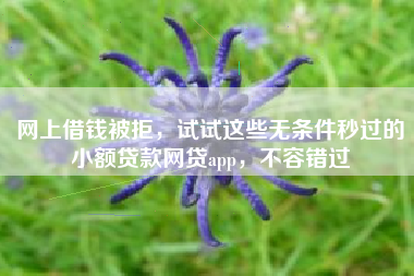 网上借钱被拒,试试这些无条件秒过的小额贷款网贷app,不容错过 网上借钱被拒,试试这些无条件秒过的小额贷款网贷app,不容错过