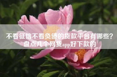 不看征信不看负债的贷款平台有哪些?盘点几个网贷app好下款的 不看征信不看负债的贷款平台有哪些?盘点几个网贷app好下款的