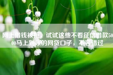 网上借钱被拒,试试这些不看征信借款5000马上到账的网贷口子,不容错过 网上借钱被拒,试试这些不看征信借款5000马上到账的网贷口子,不容错过