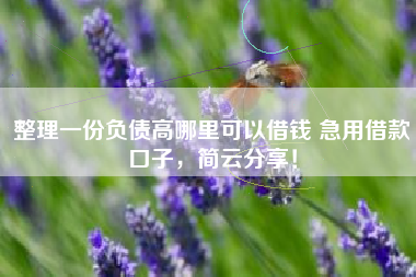 整理一份负债高哪里可以借钱 急用借款口子，简云分享！