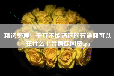 精选整理！千万不能错过的有逾期可以在什么平台借钱网贷app