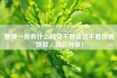 整理一份有什么网贷不看征信不看负债贷款，简云分享！