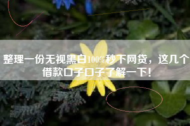 整理一份无视黑白100%秒下网贷，这几个借款口子口子了解一下！