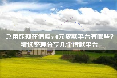 急用钱现在借款500元贷款平台有哪些？精选整理分享几个借款平台