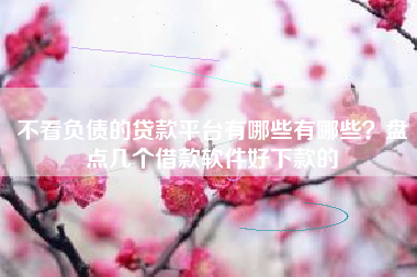 不看负债的贷款平台有哪些有哪些？盘点几个借款软件好下款的