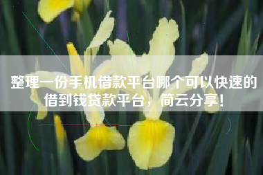 整理一份手机借款平台哪个可以快速的借到钱贷款平台，简云分享！