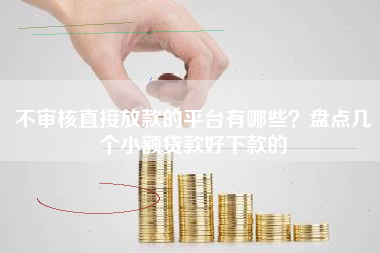 不审核直接放款的平台有哪些？盘点几个小额贷款好下款的