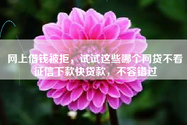 网上借钱被拒，试试这些哪个网贷不看征信下款快贷款，不容错过