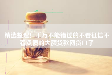 精选整理！千万不能错过的不看征信不看负债的大额贷款网贷口子