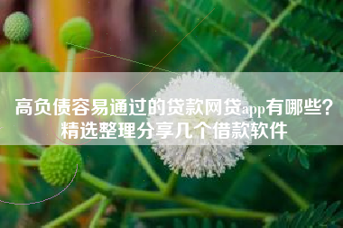 高负债容易通过的贷款网贷app有哪些？精选整理分享几个借款软件