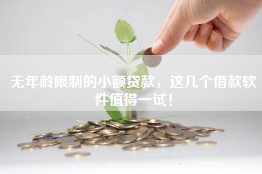 无年龄限制的小额贷款，这几个借款软件值得一试！