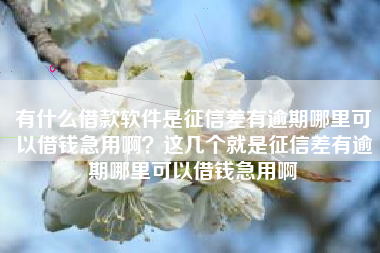有什么借款软件是征信差有逾期哪里可以借钱急用啊？这几个就是征信差有逾期哪里可以借钱急用啊