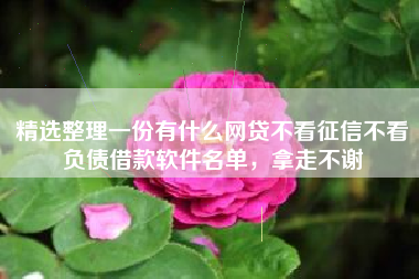 精选整理一份有什么网贷不看征信不看负债借款软件名单，拿走不谢