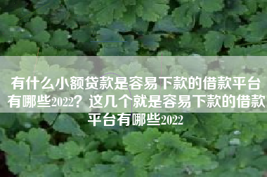 有什么小额贷款是容易下款的借款平台有哪些2022？这几个就是容易下款的借款平台有哪些2022