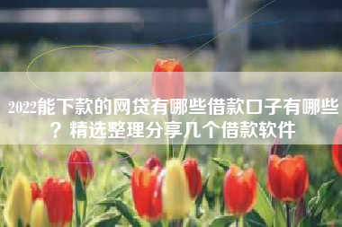 2022能下款的网贷有哪些借款口子有哪些？精选整理分享几个借款软件