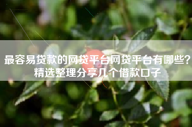 最容易贷款的网贷平台网贷平台有哪些？精选整理分享几个借款口子
