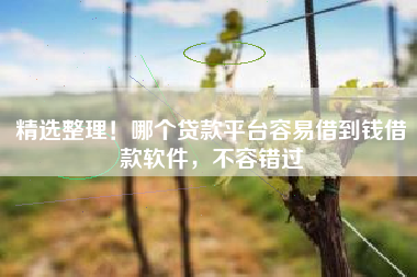 精选整理！哪个贷款平台容易借到钱借款软件，不容错过