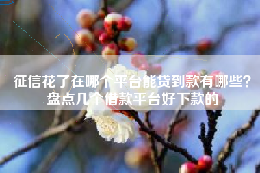 征信花了在哪个平台能贷到款有哪些？盘点几个借款平台好下款的