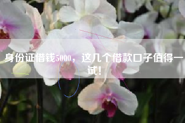 身份证借钱5000,这几个借款口子值得一试! 身份证借钱5000,这几个借款口子值得一试!
