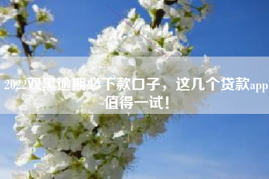 2022双黑逾期必下款口子，这几个贷款app值得一试！