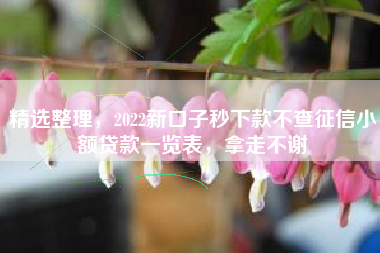 精选整理，2022新口子秒下款不查征信小额贷款一览表，拿走不谢