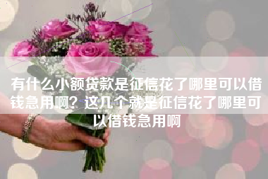 有什么小额贷款是征信花了哪里可以借钱急用啊？这几个就是征信花了哪里可以借钱急用啊