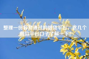 整理一份容易通过的借贷平台，这几个借款平台口子了解一下！