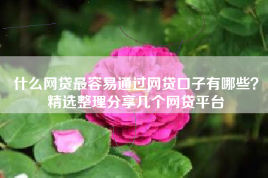 什么网贷最容易通过网贷口子有哪些？精选整理分享几个网贷平台