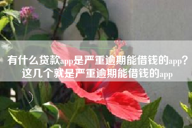 有什么贷款app是严重逾期能借钱的app？这几个就是严重逾期能借钱的app