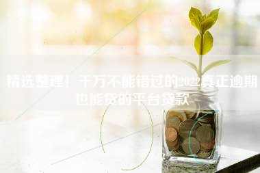 精选整理！千万不能错过的2022真正逾期也能贷的平台贷款