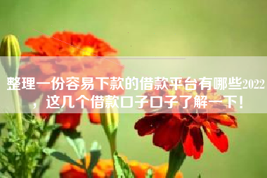 整理一份容易下款的借款平台有哪些2022，这几个借款口子口子了解一下！