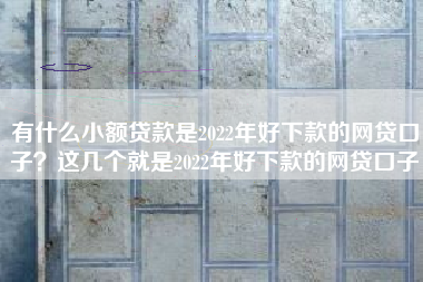 有什么小额贷款是2022年好下款的网贷口子?这几个就是2022年好下款的网贷口子 有什么小额贷款是2022年好下款的网贷口子?这几个就是2022年好下款的网贷口子