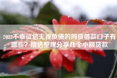 2022不查征信无视负债的网贷借款口子有哪些?精选整理分享几个小额贷款 2022不查征信无视负债的网贷借款口子有哪些?精选整理分享几个小额贷款