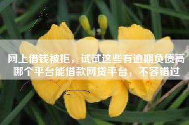 网上借钱被拒，试试这些有逾期负债高哪个平台能借款网贷平台，不容错过
