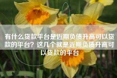 有什么贷款平台是近期负债升高可以贷款的平台?这几个就是近期负债升高可以贷款的平台 有什么贷款平台是近期负债升高可以贷款的平台?这几个就是近期负债升高可以贷款的平台