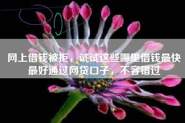 网上借钱被拒，试试这些哪里借钱最快最好通过网贷口子，不容错过
