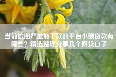 当前逾期严重能下款的平台小额贷款有哪些？精选整理分享几个网贷口子