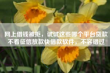 网上借钱被拒,试试这些哪个平台贷款不看征信放款快借款软件,不容错过 网上借钱被拒,试试这些哪个平台贷款不看征信放款快借款软件,不容错过