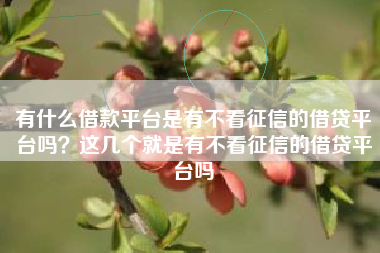 有什么借款平台是有不看征信的借贷平台吗？这几个就是有不看征信的借贷平台吗